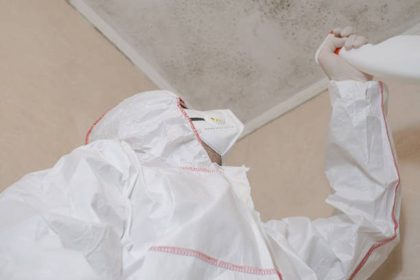 Best Toxic Mold Removal  in USA